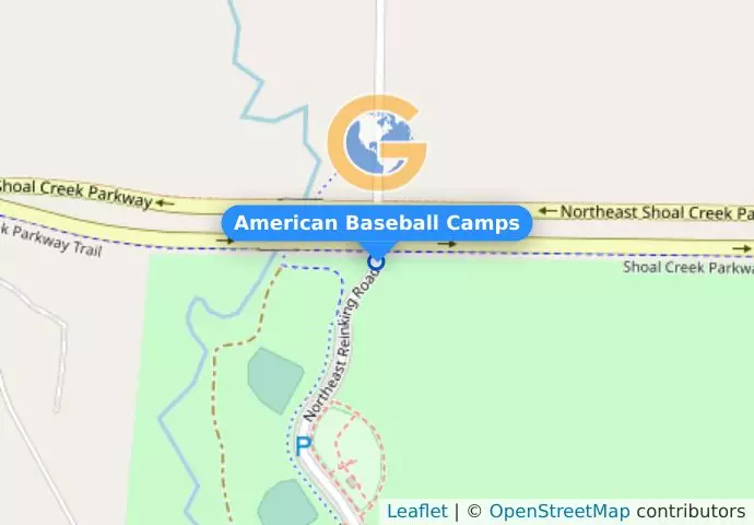 American Baseball Camps