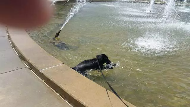 Anita B Gorman Park