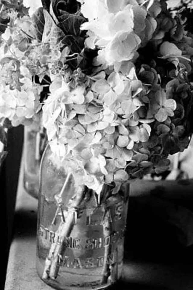 Allie Coyle Photography