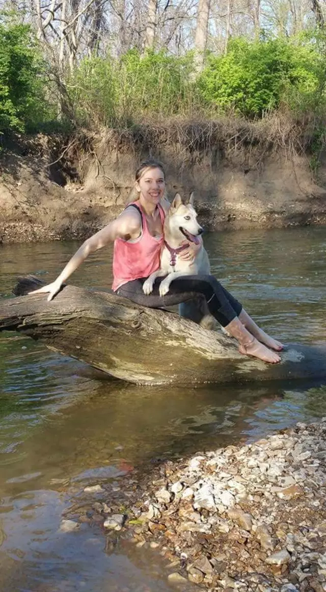 Aid Animal Hospital