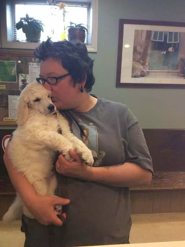 Aid Animal Hospital