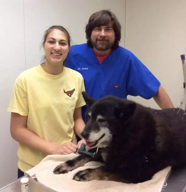 Aid Animal Hospital
