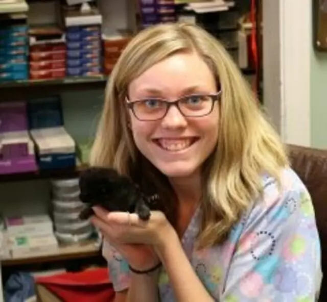Aid Animal Hospital