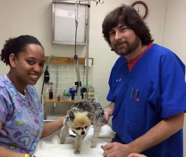 Aid Animal Hospital