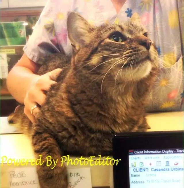 Aid Animal Hospital