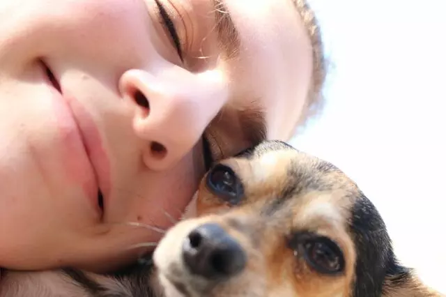 Aid Animal Hospital