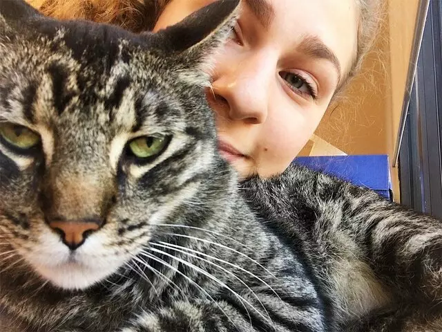 Aid Animal Hospital