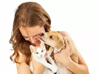 Aid Animal Hospital