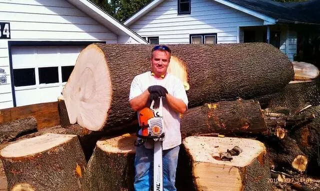 A-Alpha Tree Company