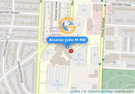 Alvarez Julie M MD