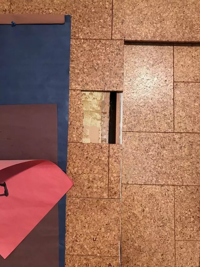 Aardvark Moving
