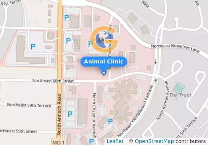 Animal Clinic