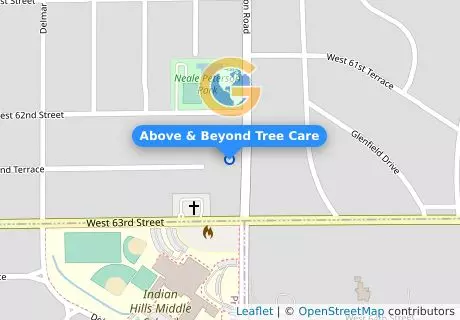 Above & Beyond Tree Care