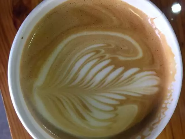 Blip Roasters