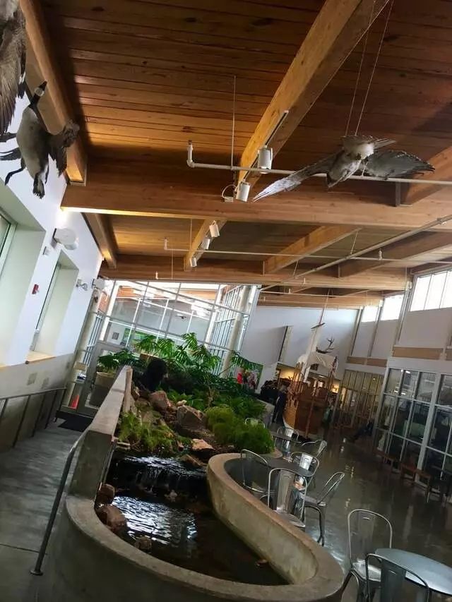 Anita B Gorman Discovery Center