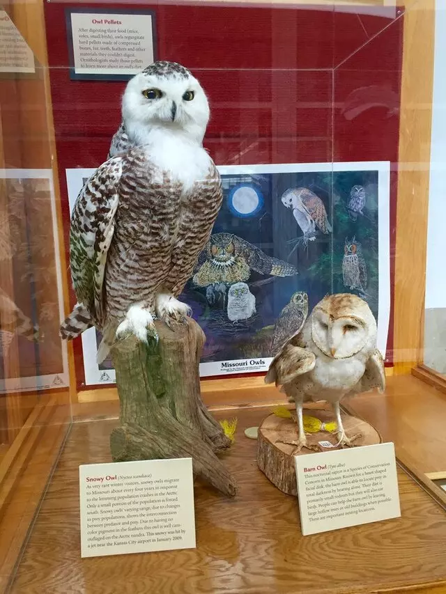 Anita B Gorman Discovery Center