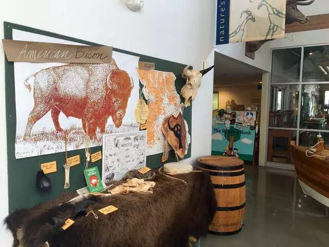 Anita B Gorman Discovery Center