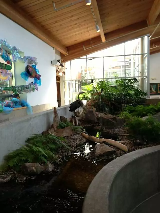 Anita B Gorman Discovery Center