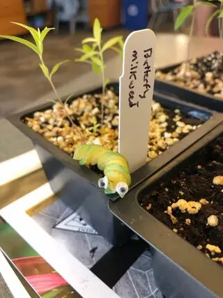 Anita B Gorman Discovery Center