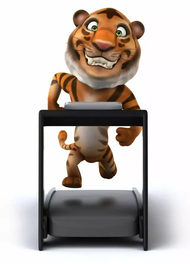Treadmill Tigers