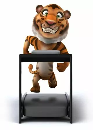 Treadmill Tigers