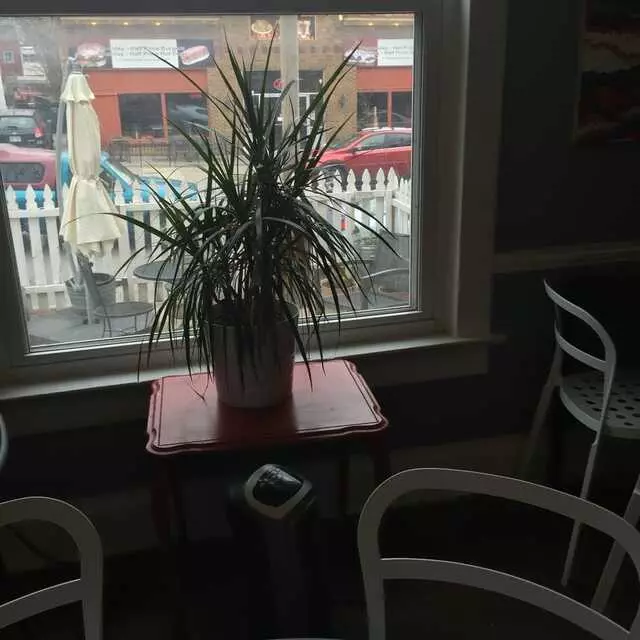 Mud Pie Vegan Bakery & Coffeehouse