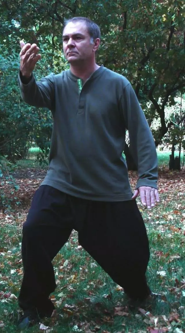 Center States Tai Chi Chuan