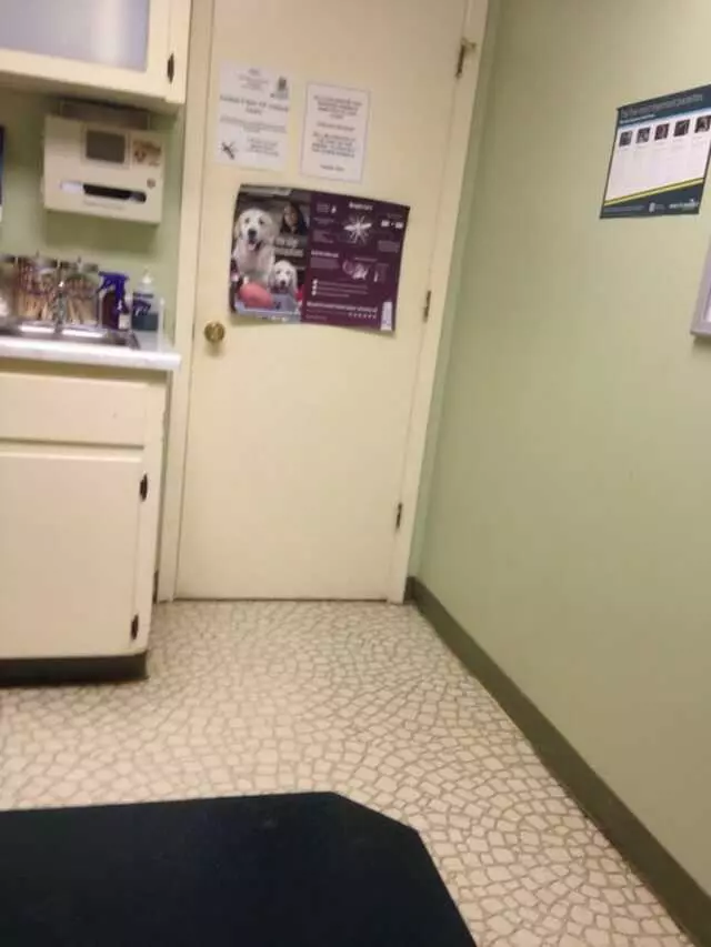 Animal Clinic of Antioch Annex