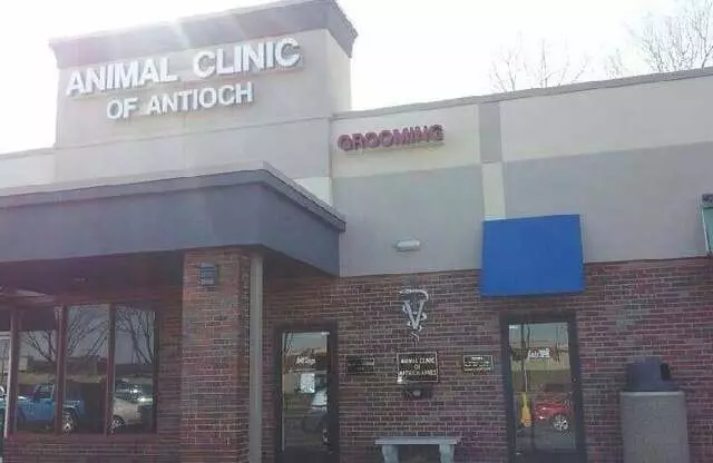Animal Clinic of Antioch Annex