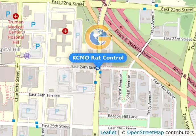KCMO Rat Control