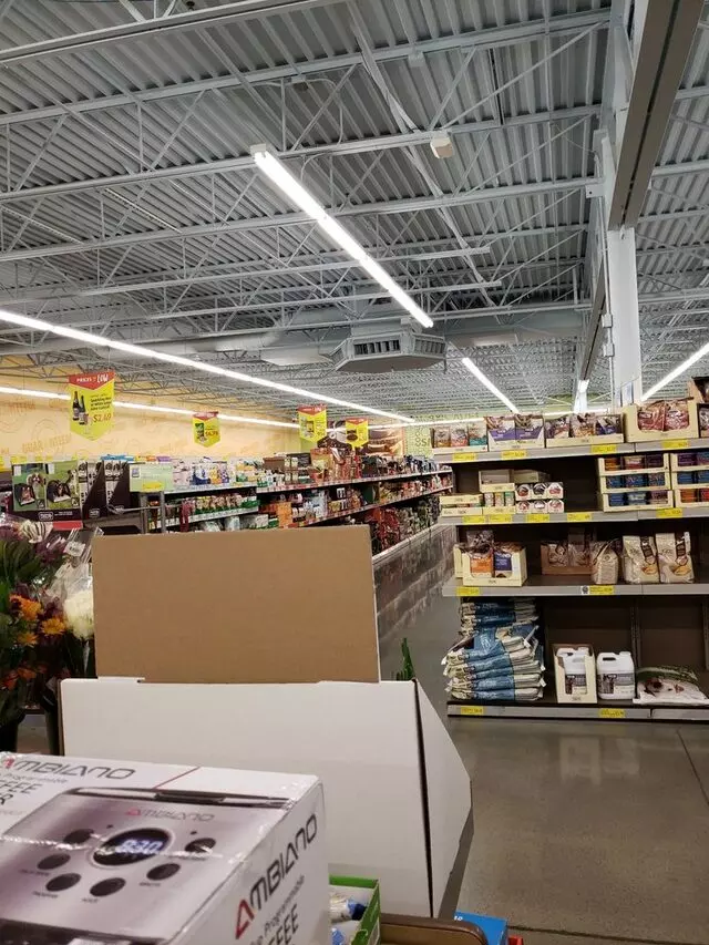 Aldi