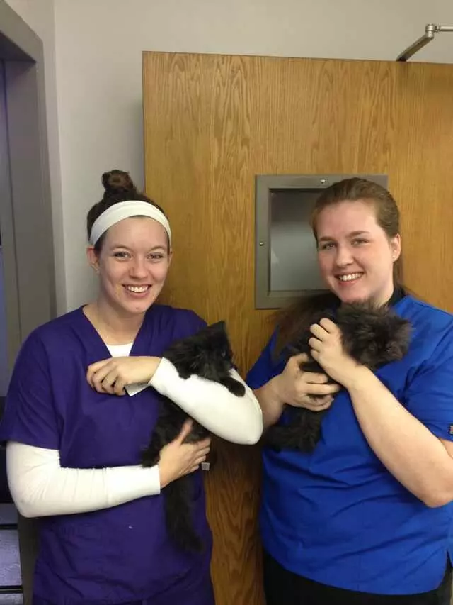 Antioch Dog & Cat Hospital