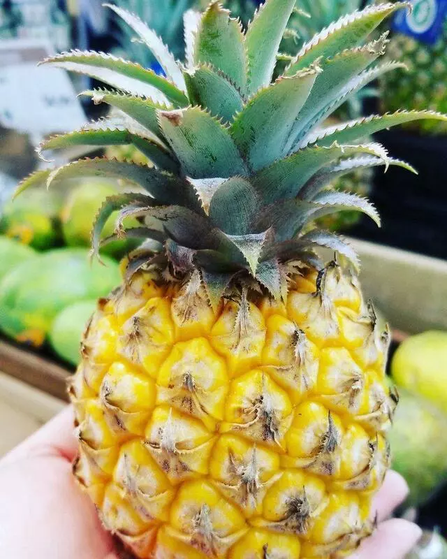 Whole Foods Market