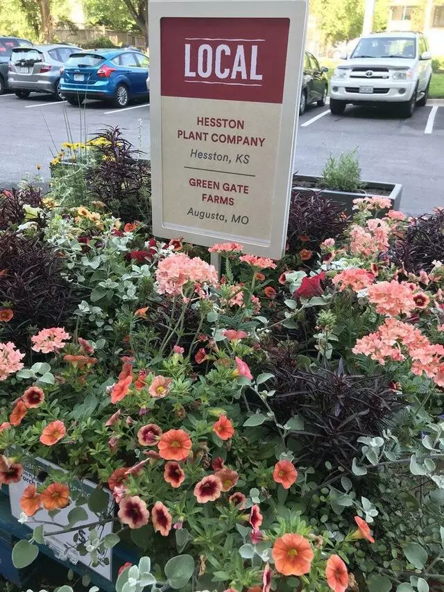 Whole Foods Market