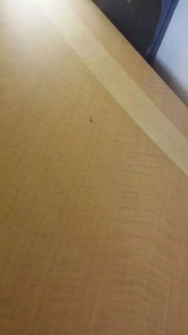 American Best Value Inn