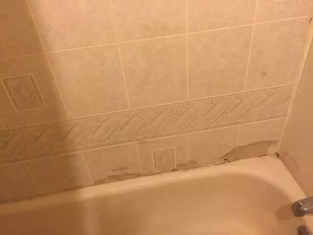 American Best Value Inn