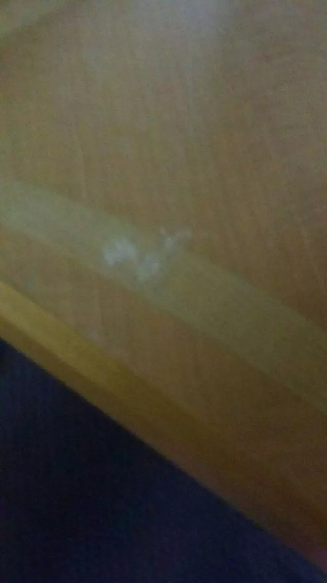 American Best Value Inn