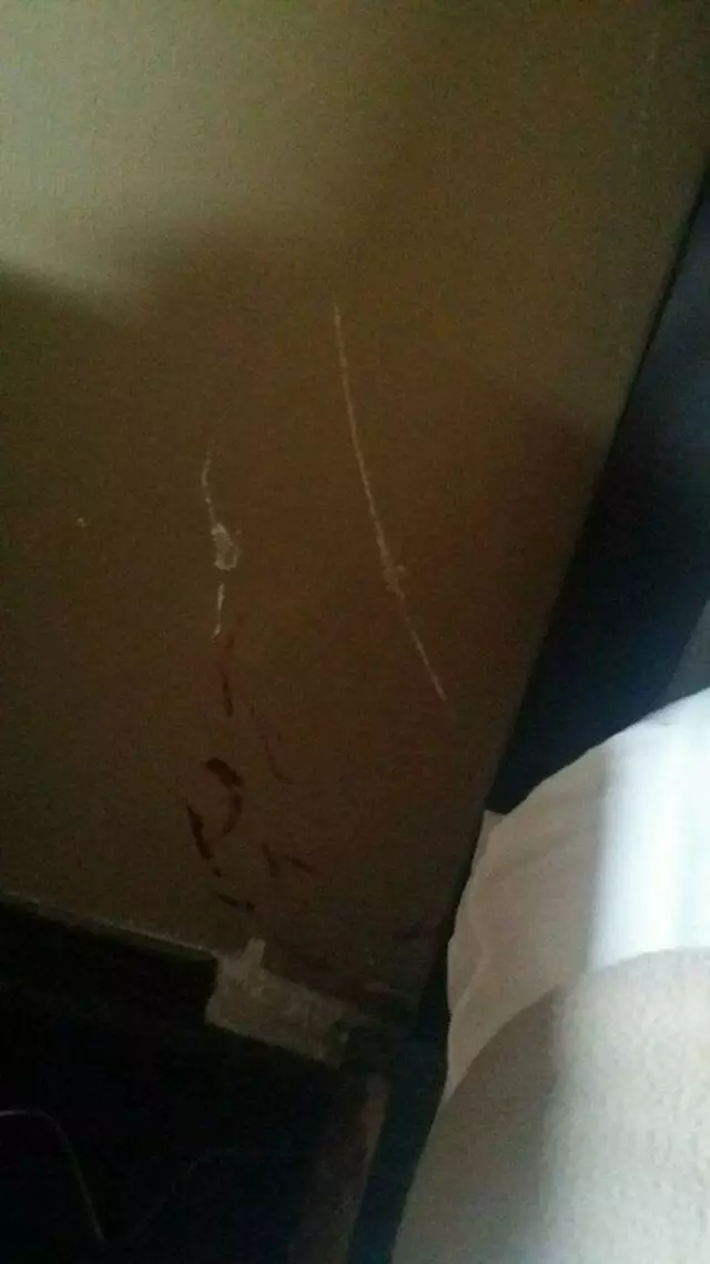 American Best Value Inn