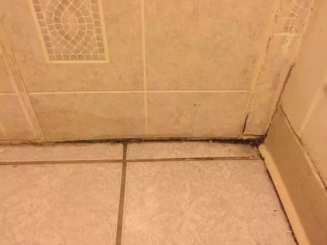 American Best Value Inn