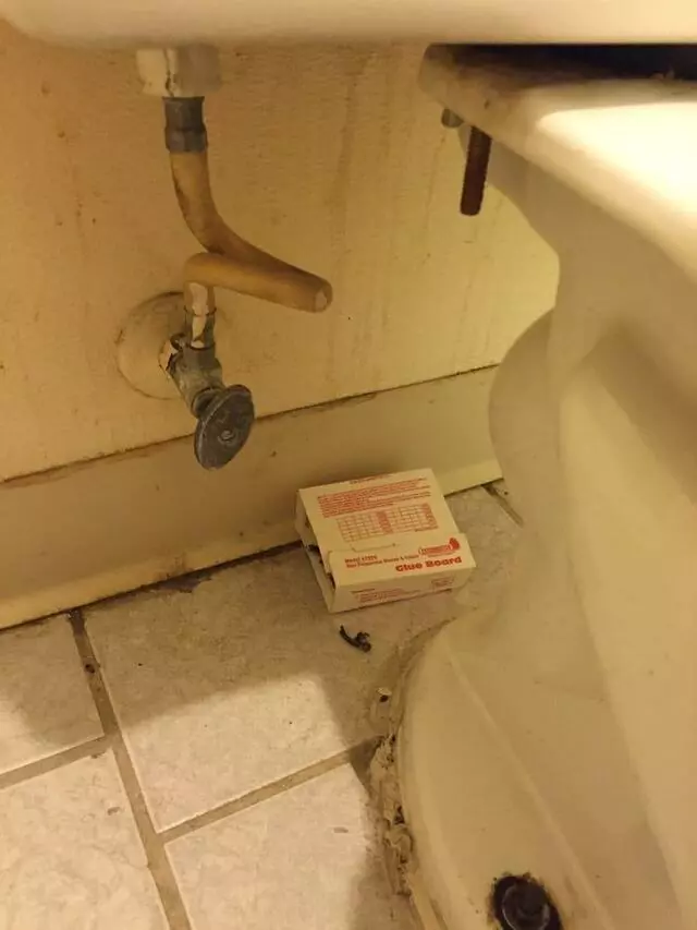 American Best Value Inn