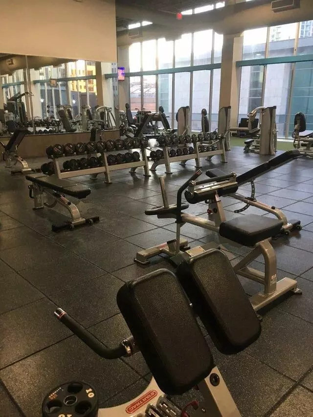 Onelife Fitness - Power & Light