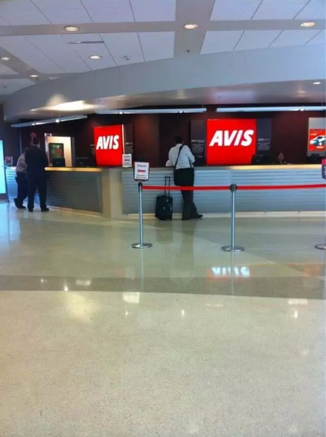 Avis