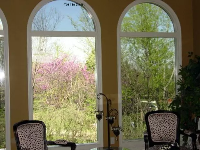 A1 Window Tint