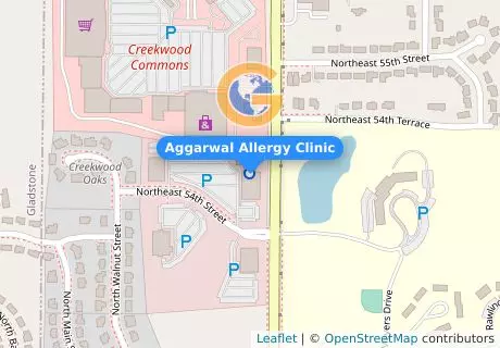 Aggarwal Allergy Clinic