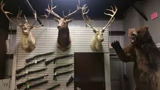 American Guns Unlimited