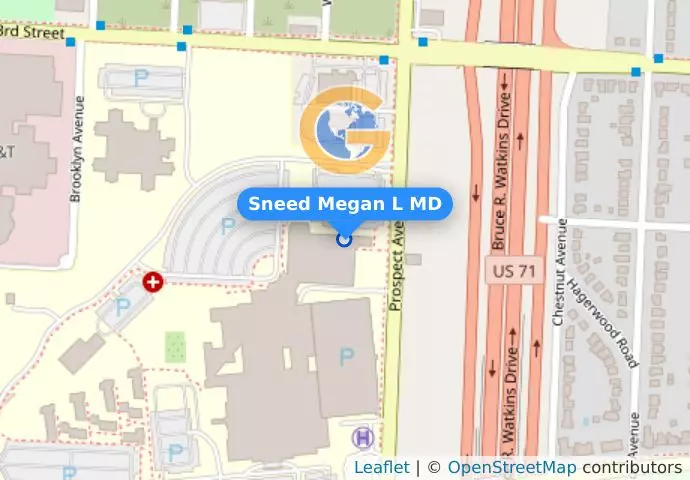 Sneed Megan L MD