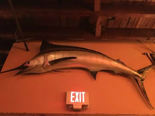 The Ship
