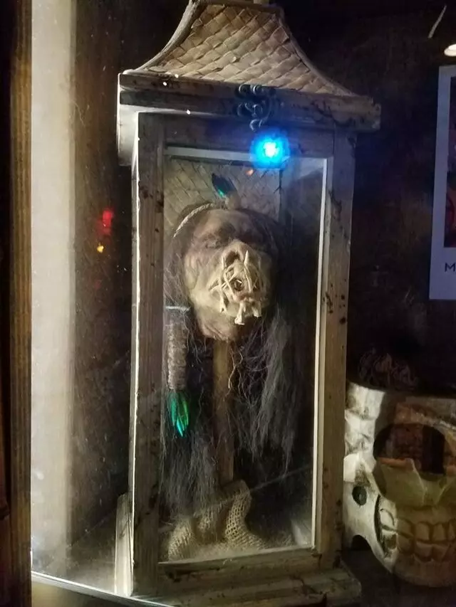 TikiCat