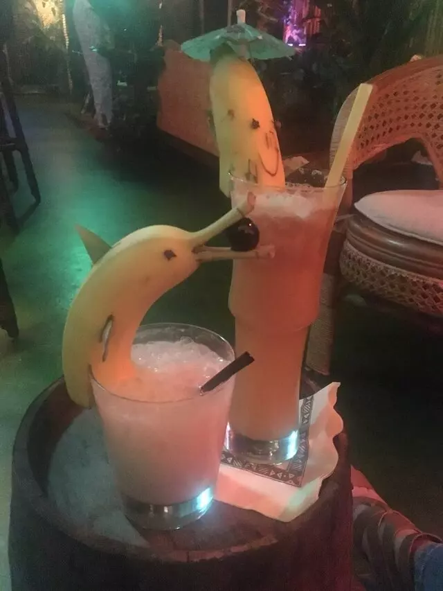 TikiCat