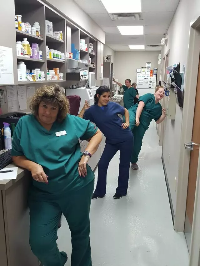 Amity Woods Animal Hospital & Lodge